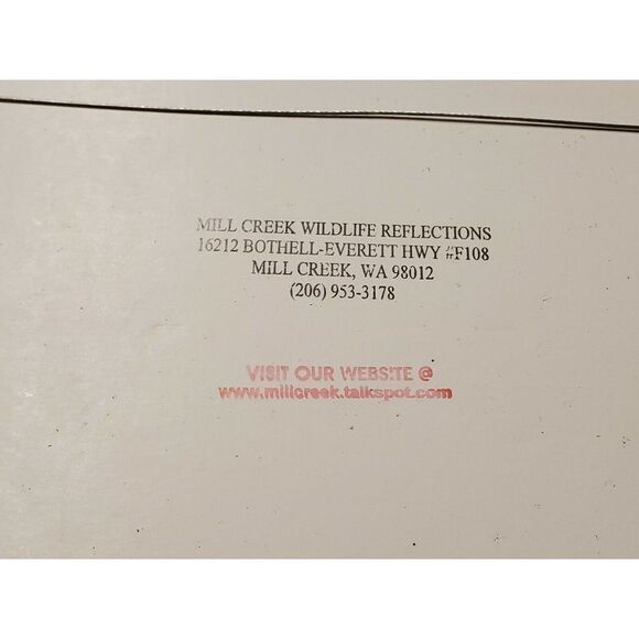 Millcreek Wildlife Reflections Eagle Photo Hand Signed Framed 19 3/4x16" 24"x30" - Picture 4 of 5